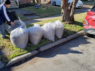 Cleanups by Edward Kauffman for Kelsey M. in Norfolk, VA