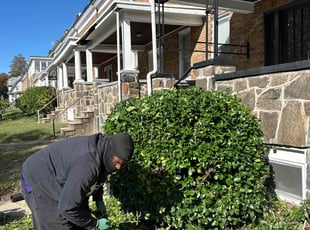 Cleanups by Melford Franklin for Talaya L. in Baltimore, MD