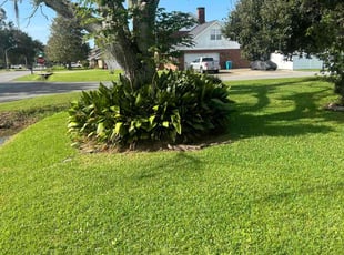 Travis F.'s Lawn Mowing service result