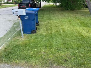 Tama B.'s Lawn Mowing Service service result