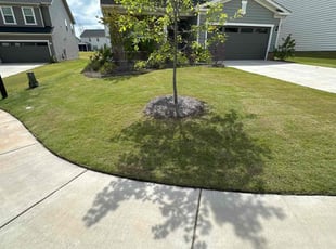 Lynn A.'s Lawn Mowing Service service result