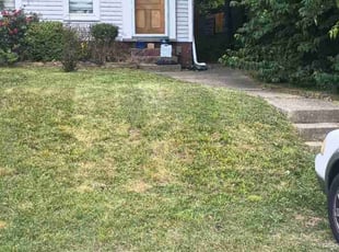 Cleanups by Chris Slone for Noelle P. in Louisville, KY