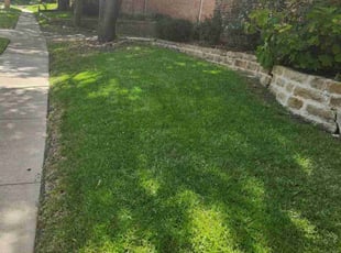 Marilyn B.'s Lawn Service service result
