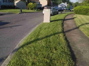 Sharon C.'s Lawn Mowing service result