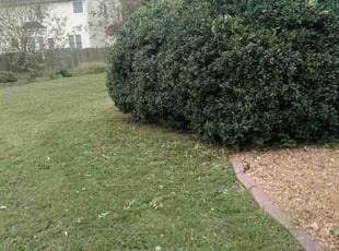 Cleanups by Steven Price for Vida W. in Richmond, VA