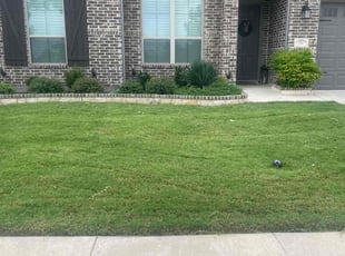 Barbara B.'s Lawn Care service result