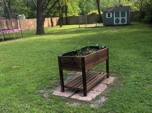 Richardo G.'s Yard Cutting service result