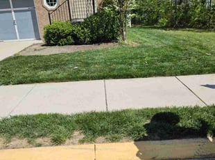Patty E.'s Lawn Service service result