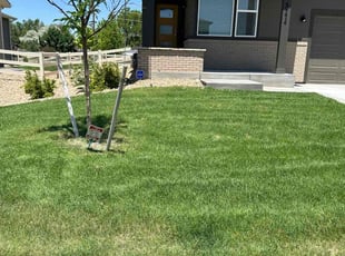Trudy A.'s Lawn Mowing service result