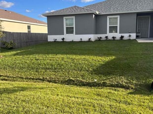 Tonia V.'s Lawn Mowing service result