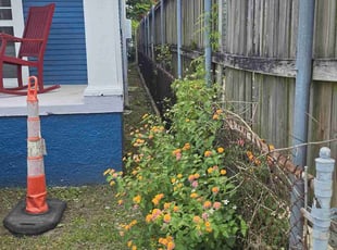 Bush Trimming by Andrew Honeycutt for Howard H. in New Orleans, LA