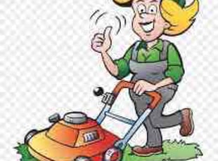 Leaf Removal by T Jackson for Anshul P. in Rochester Hills, MI