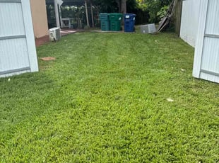 Joan Z.'s Yard Cutting service result