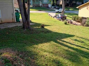 Robert K.'s Yard Cutting service result