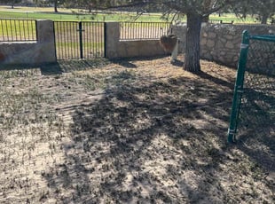 Cleanups by Arturo Lopez for Shannon k. in Horizon City, TX
