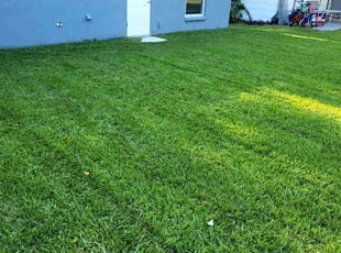 Darlene A.'s Lawn Mowing Service service result
