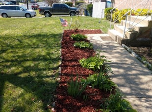 Weeding by Jessica Porter for Sherman R. in District Heights, MD