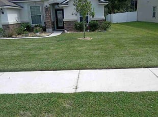 Samantha M.'s Lawn Mowing Service service result