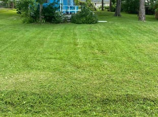 Linda P.'s Lawn Maintenance service result