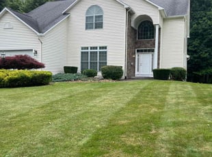 Bush Trimming by David Bowen for James G. in Liverpool, NY