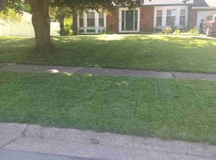 Richard C.'s Lawn Mowing Service service result