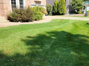 MaryJo E.'s Grass Cutting service result
