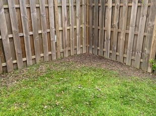 Cleanups by Cristian Ramirez for Capri C. in Aspen Hill, MD
