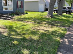Aisha S.'s Lawn Care service result