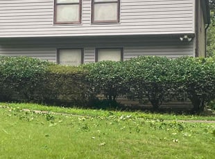 Bush Trimming by Jason Hembree for Stan H. in Mableton, GA