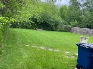 Jim S.'s Lawn Mowing service result