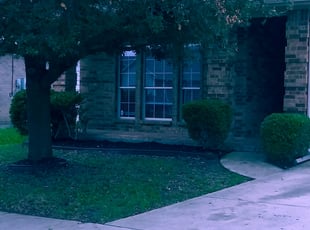 Cleanups by Nathaniel Lamers for PMI P. in Fort Worth, TX