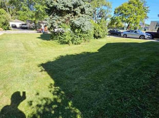 Scott W.'s Grass Cutting service result