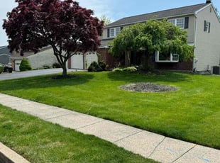 Lisa M.'s Lawn Mowing service result