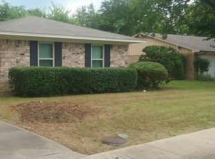 Bush Trimming by Samuel Fogg for Jerry M. in Denton, TX