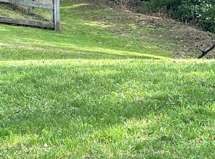 Melanie A.'s Lawn Service service result
