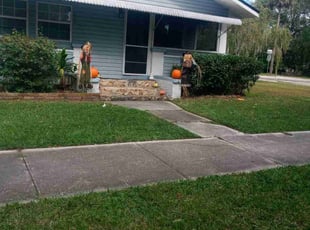 Marcia S.'s Lawn Care service result