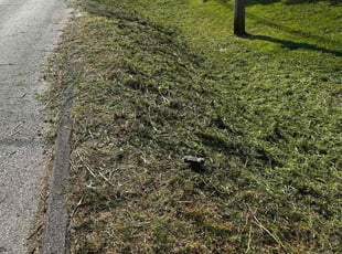 Weeding by Steve Lehmkuhl for Anna E. in Kansas City, KS