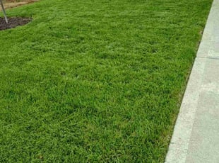 Jim B.'s Grass Cutting service result