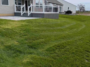 Emanuel J.'s Lawn Mowing Service service result