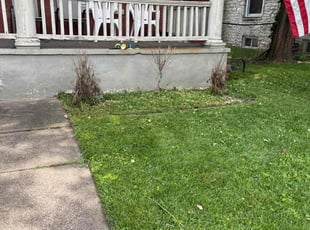 Fedor A.'s Flower Bed Weeding service result