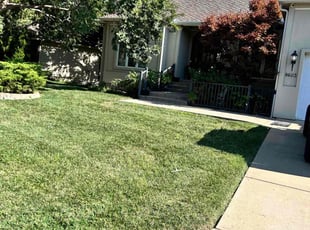 David R.'s Yard Cutting service result