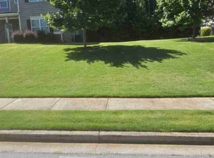 Jennifer Shawn R.'s Lawn Service service result