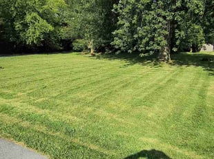 Aj S.'s Lawn Mowing service result