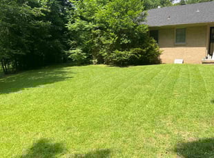 Karen T.'s Lawn Mowing Service service result