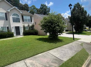 Jamie P.'s Lawn Mowing service result