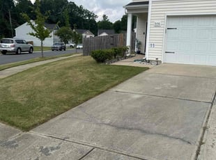 Bush Trimming by Justin Palmer for Viola J. in Charlotte, NC