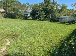 Michael A.'s Lawn Service service result