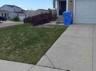 Bush Trimming by Joseph Banes for Jason D. in Fountain, CO