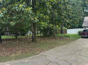 Cleanups by Fidel Umanzor for Anthony C. in Alpharetta, GA