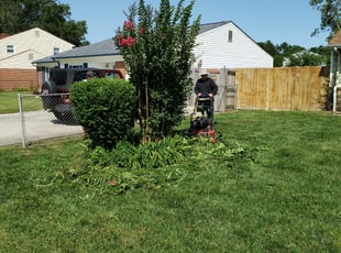 Bush Trimming by Edward Kauffman for Stanley M. in Virginia Beach, VA